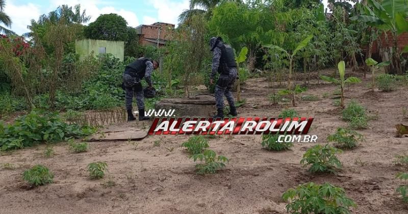 Ação conjunta entre PM, PC e Canil resultou na apreensão de droga e prisão de dois suspeitos por tráfico em Rolim de Moura Ação conjunta entre PM, PC e Canil resultou na apreensão de droga e prisão de dois suspeitos por tráfico em Rolim de Moura