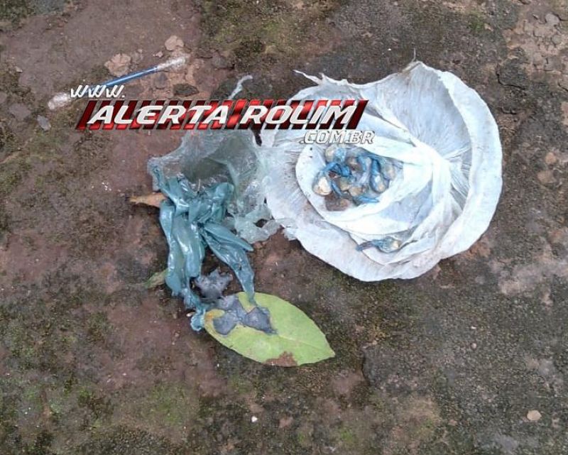 Ação conjunta entre PM, PC e Canil resultou na apreensão de droga e prisão de dois suspeitos por tráfico em Rolim de Moura Ação conjunta entre PM, PC e Canil resultou na apreensão de droga e prisão de dois suspeitos por tráfico em Rolim de Moura