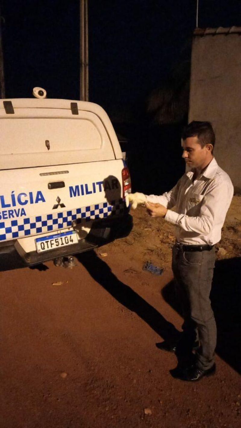 Homens encapuzados invadem residência e matam mulher com 20 facadas em Espigão Homens encapuzados invadem residência e matam mulher com 20 facadas em Espigão