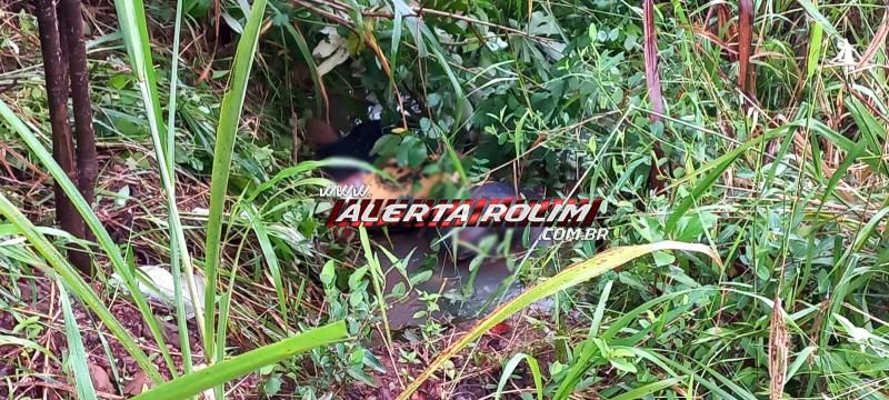 URGENTE - Homem morto a tiros é encontrado dentro de uma vala em Rolim de Moura URGENTE - Homem morto a tiros é encontrado dentro de uma vala em Rolim de Moura