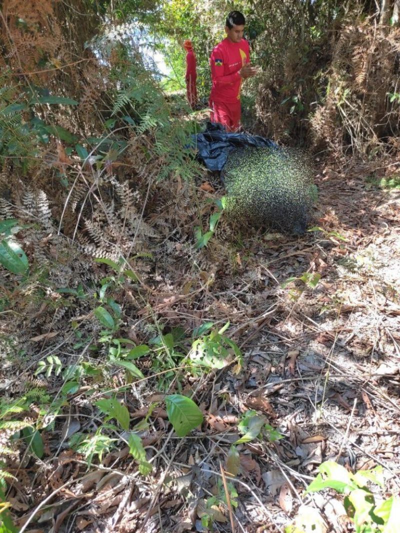 Bombeiros encontram corpo de homem que havia desaparecido nas águas da região do “alagado” em Pimenta Bueno Bombeiros encontram corpo de homem que havia desaparecido nas águas da região do “alagado” em Pimenta Bueno