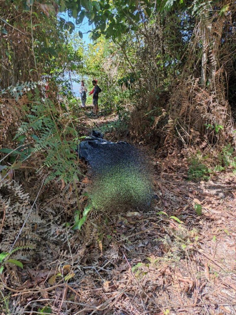 Bombeiros encontram corpo de homem que havia desaparecido nas águas da região do “alagado” em Pimenta Bueno Bombeiros encontram corpo de homem que havia desaparecido nas águas da região do “alagado” em Pimenta Bueno