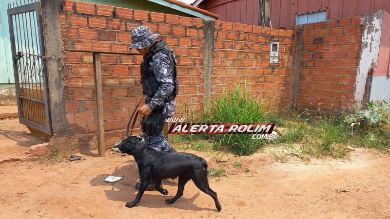 Acusado de tráfico de drogas foi preso durante operação conjunta da Polícia Militar e Polícia Civil em Rolim de Moura Acusado de tráfico de drogas foi preso durante operação conjunta da Polícia Militar e Polícia Civil em Rolim de Moura