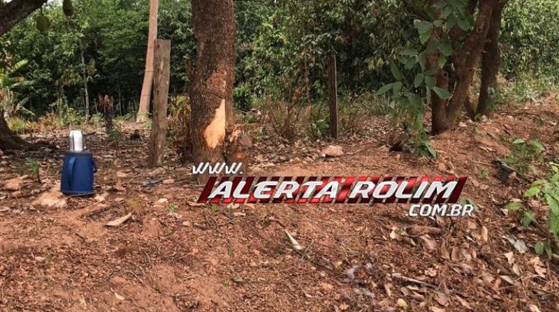 Após ter para-brisas atingido por galinha, motorista perdeu o controle da direção e bateu em árvore na linha 192 em Rolim de Moura Após ter para-brisas atingido por galinha, motorista perdeu o controle da direção e bateu em árvore na linha 192 em Rolim de Moura