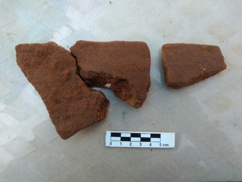 Fundadores do Grupo Energisa são homenageados com Sítios arqueológicos achados em Rondônia Fundadores do Grupo Energisa são homenageados com Sítios arqueológicos achados em Rondônia