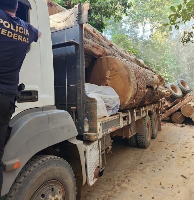 Polícia Federal realiza operação em combate à extração ilegal de madeira em terra indígena em Alto Alegre dos Parecis Polícia Federal realiza operação em combate à extração ilegal de madeira em terra indígena em Alto Alegre dos Parecis