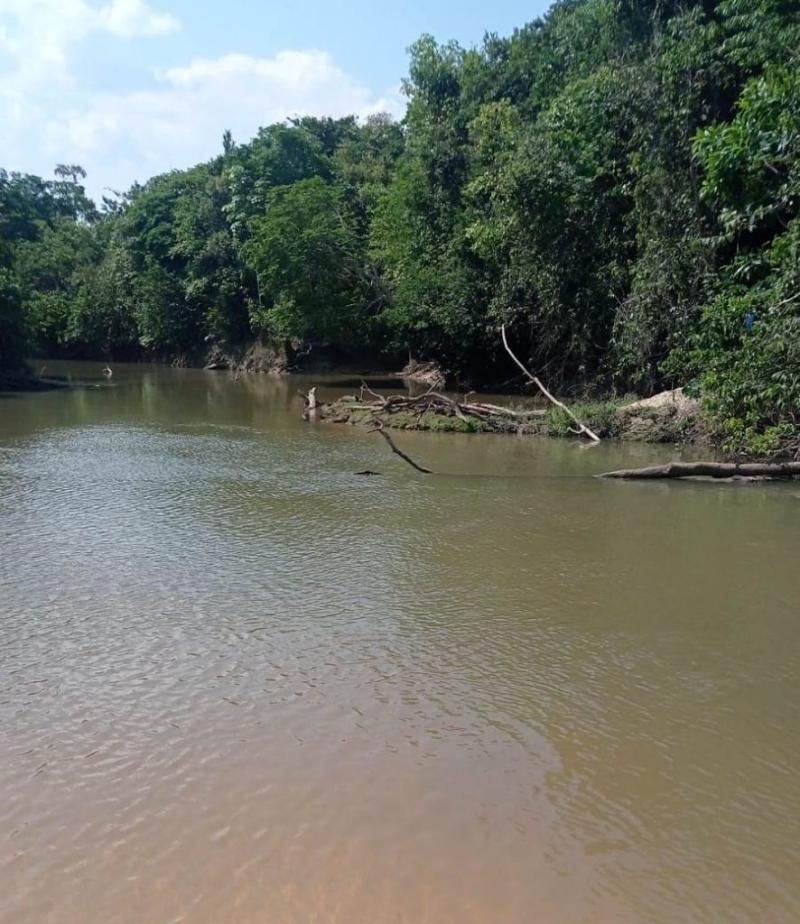 Homem morreu afogado após descarga elétrica de peixe no Rio São Domingos em Costa Marques Homem morreu afogado após descarga elétrica de peixe no Rio São Domingos em Costa Marques