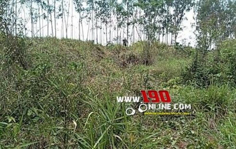 Motorista foi arremessado pra fora de carro durante capotamento na região de Alta Floresta do Oeste Motorista foi arremessado pra fora de carro durante capotamento na região de Alta Floresta do Oeste