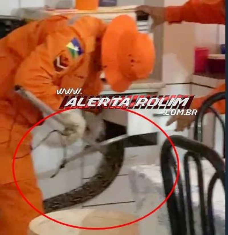 SUSTO – Mulher encontrou cobra de quase 02 metros na gaveta de seu armário em Cacoal; Bombeiros fizeram a captura – Veja o vídeo SUSTO – Mulher encontrou cobra de quase 02 metros na gaveta de seu armário em Cacoal; Bombeiros fizeram a captura – Veja o vídeo