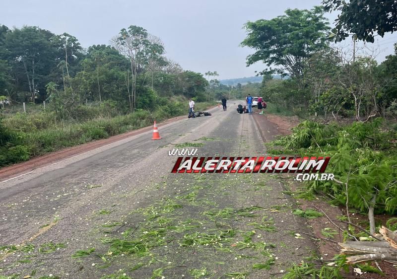 Após ser cortada, árvore caiu em cima de moto e provocou queda dos ocupantes na linha 208 Após ser cortada, árvore caiu em cima de moto e provocou queda dos ocupantes na linha 208