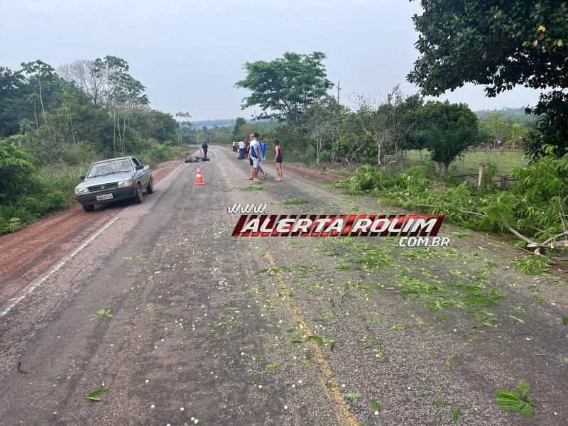 Após ser cortada, árvore caiu em cima de moto e provocou queda dos ocupantes na linha 208 Após ser cortada, árvore caiu em cima de moto e provocou queda dos ocupantes na linha 208