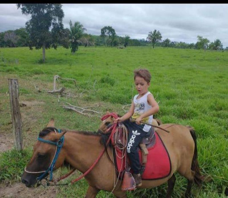Em novo vídeo, Roni fala sobre o estado de saúde do seu filho Bryan, vítima de grave acidente em Rolim de Moura Em novo vídeo, Roni fala sobre o estado de saúde do seu filho Bryan, vítima de grave acidente em Rolim de Moura