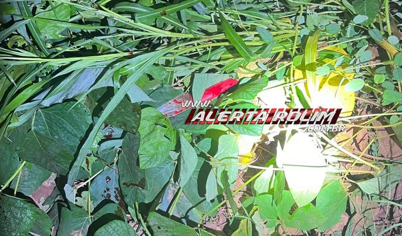 Homem foi assassinado a facadas em Nova Estrela; Tatuagem no braço pode ajudar na identificação da vítima Homem foi assassinado a facadas em Nova Estrela; Tatuagem no braço pode ajudar na identificação da vítima