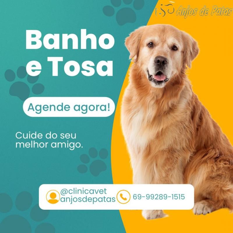 Agende já o banho do seu pet na anjos de patas de Rolim de Moura Agende já o banho do seu pet na anjos de patas de Rolim de Moura