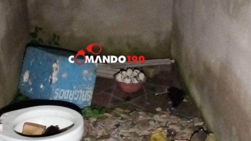 Polícia encontra crânio humano e galinha preta dentro de residência abandonada, em RO Polícia encontra crânio humano e galinha preta dentro de residência abandonada, em RO