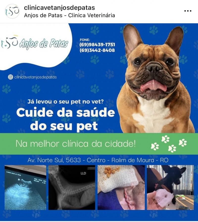 Precisou de atendimento veterinário, banho, tosa ou ração para seu animalzinho? Conte com a Anjos de Patas de Rolim de Moura Precisou de atendimento veterinário, banho, tosa ou ração para seu animalzinho? Conte com a Anjos de Patas de Rolim de Moura