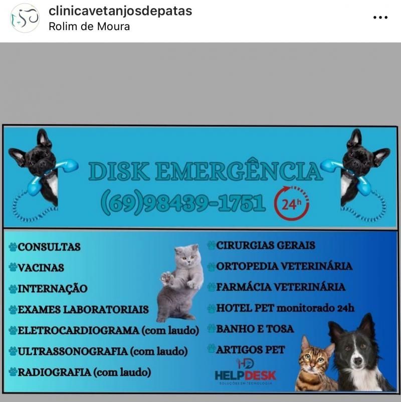 Precisou de atendimento veterinário, banho, tosa ou ração para seu animalzinho? Conte com a Anjos de Patas de Rolim de Moura Precisou de atendimento veterinário, banho, tosa ou ração para seu animalzinho? Conte com a Anjos de Patas de Rolim de Moura