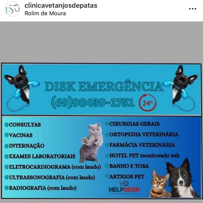 Precisou de atendimento veterinário, banho, tosa ou ração para seu animalzinho? Conte com a Anjos de Patas de Rolim de Moura Precisou de atendimento veterinário, banho, tosa ou ração para seu animalzinho? Conte com a Anjos de Patas de Rolim de Moura