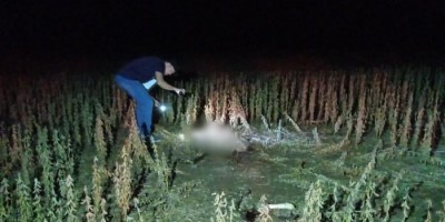 Trabalhadores encontram corpo em decomposição durante colheita de soja, em RO Trabalhadores encontram corpo em decomposição durante colheita de soja, em RO