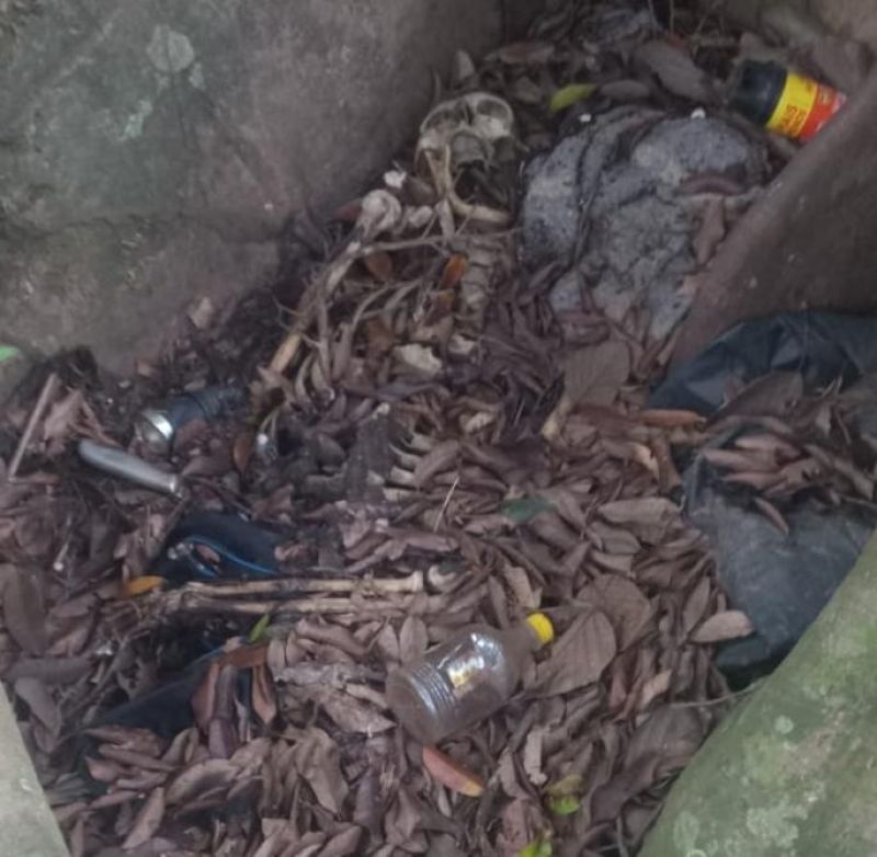 Ossada humana foi encontrada nesta manhã em mata na linha P-40, em Alto Alegre dos Parecis Ossada humana foi encontrada nesta manhã em mata na linha P-40, em Alto Alegre dos Parecis
