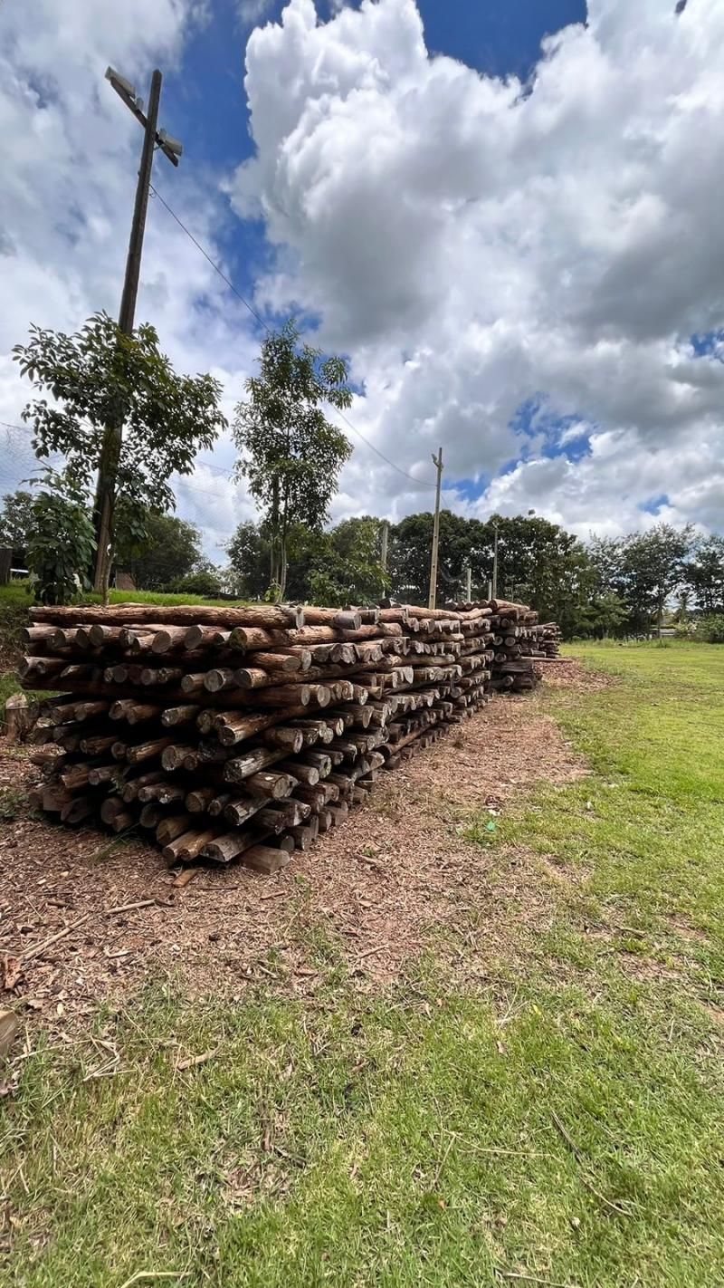 Edital de leilão de madeiras apreendidas doadas para a PM de colorado Edital de leilão de madeiras apreendidas doadas para a PM de colorado