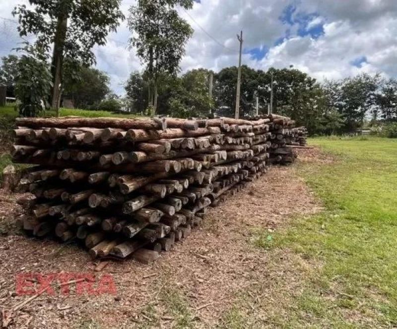 Edital de leilão de madeiras apreendidas doadas para a PM de colorado Edital de leilão de madeiras apreendidas doadas para a PM de colorado