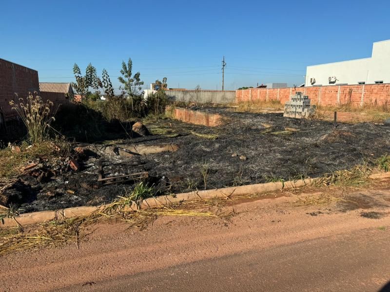 Rolim de Moura: Secretaria de Meio Ambiente realiza visita ao Residencial Jequitibá após denúncia de queimada e notifica proprietários dos terrenos Rolim de Moura: Secretaria de Meio Ambiente realiza visita ao Residencial Jequitibá após denúncia de queimada e notifica proprietários dos terrenos