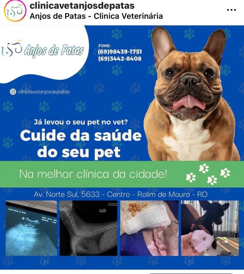A vacina do seu pet está em dias? Realize o ciclo vacinal do seu animalzinho na Anjos de Patas clinica veterinária de Rolim de Moura A vacina do seu pet está em dias? Realize o ciclo vacinal do seu animalzinho na Anjos de Patas clinica veterinária de Rolim de Moura