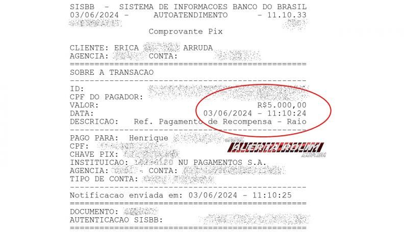 VÍDEO - Gato, que estava desaparecido há quase 40 dias em Rolim de Moura, foi encontrado e retornou para o seu lar VÍDEO - Gato, que estava desaparecido há quase 40 dias em Rolim de Moura, foi encontrado e retornou para o seu lar
