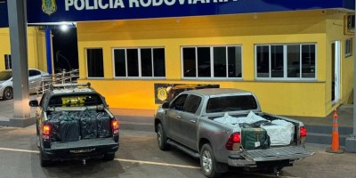 PRF do MS apreendeu 1,3 tonelada de cocaína em caminhão frigorífico que saiu de Rondônia PRF do MS apreendeu 1,3 tonelada de cocaína em caminhão frigorífico que saiu de Rondônia