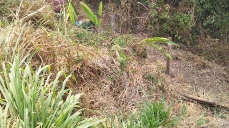 Jovem Desaparecido é Encontrado com Vida após três dias caído na Margem da BR-364 Jovem Desaparecido é Encontrado com Vida após três dias caído na Margem da BR-364