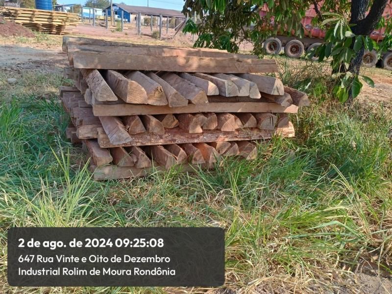 Corpo de Bombeiros de Rolim de Moura lança edital para venda de madeiras Itaúba; veja como participar Corpo de Bombeiros de Rolim de Moura lança edital para venda de madeiras Itaúba; veja como participar