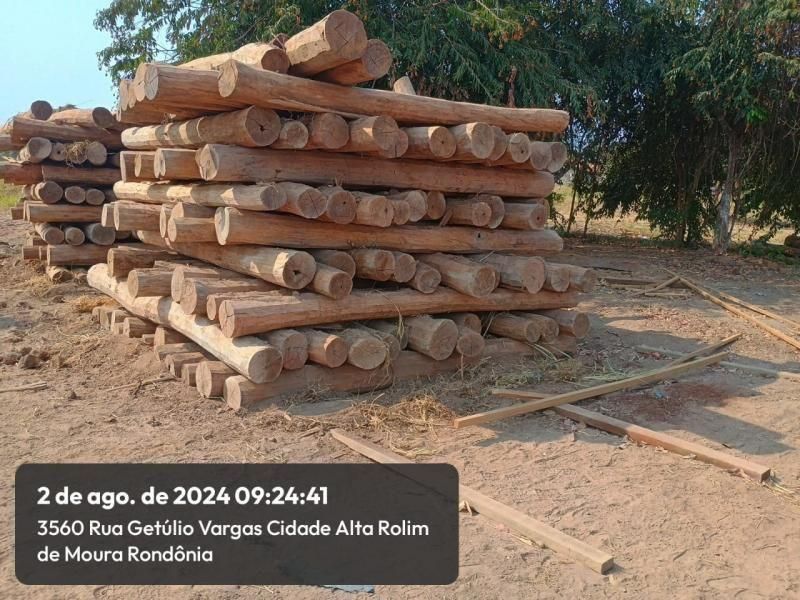 Leilão promovido pelo Corpo de Bombeiros de Rolim de Moura para venda de madeiras será amanhã; veja como participar Leilão promovido pelo Corpo de Bombeiros de Rolim de Moura para venda de madeiras será amanhã; veja como participar