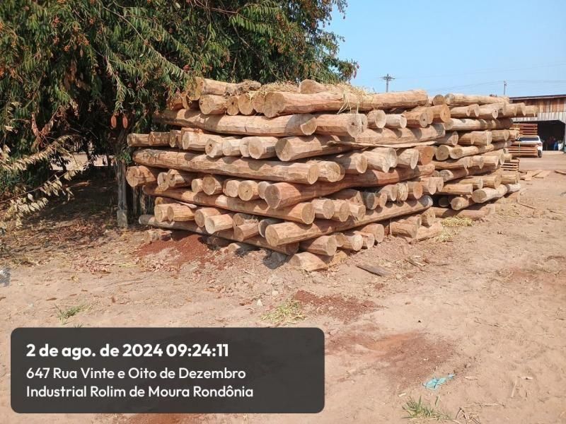 Leilão promovido pelo Corpo de Bombeiros de Rolim de Moura para venda de madeiras será amanhã; veja como participar Leilão promovido pelo Corpo de Bombeiros de Rolim de Moura para venda de madeiras será amanhã; veja como participar