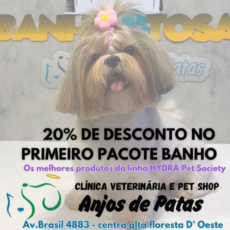 Clínica Anjos de Patas Chega a Alta Floresta D´Oeste com Promoções Especiais! Clínica Anjos de Patas Chega a Alta Floresta D´Oeste com Promoções Especiais!