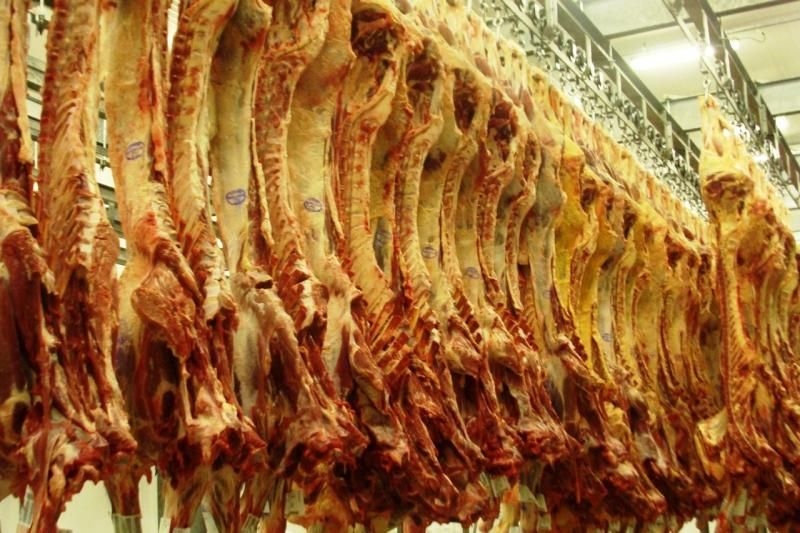 Exportações de Rondônia atingem recorde de US$ 2,6 bilhões: 2º maior estado exportador da região Norte Exportações de Rondônia atingem recorde de US$ 2,6 bilhões: 2º maior estado exportador da região Norte