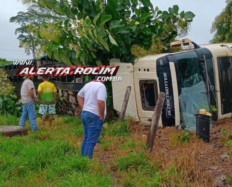 Carreta carregada com bois tombou na RO 383 entre Santa Luzia e Alta Floresta do Oeste Carreta carregada com bois tombou na RO 383 entre Santa Luzia e Alta Floresta do Oeste