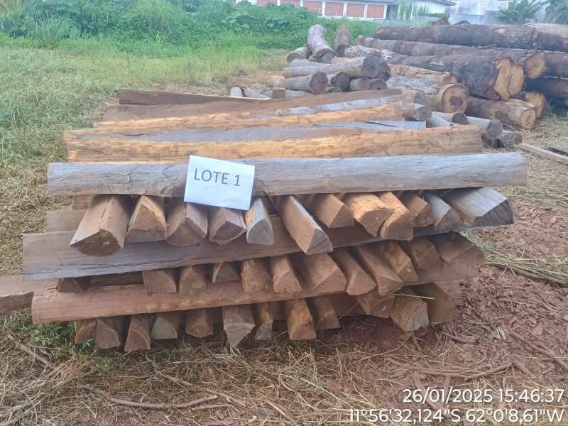 Polícia Militar Ambiental de Alta Floresta lança edital para venda de madeiras; veja como participar Polícia Militar Ambiental de Alta Floresta lança edital para venda de madeiras; veja como participar