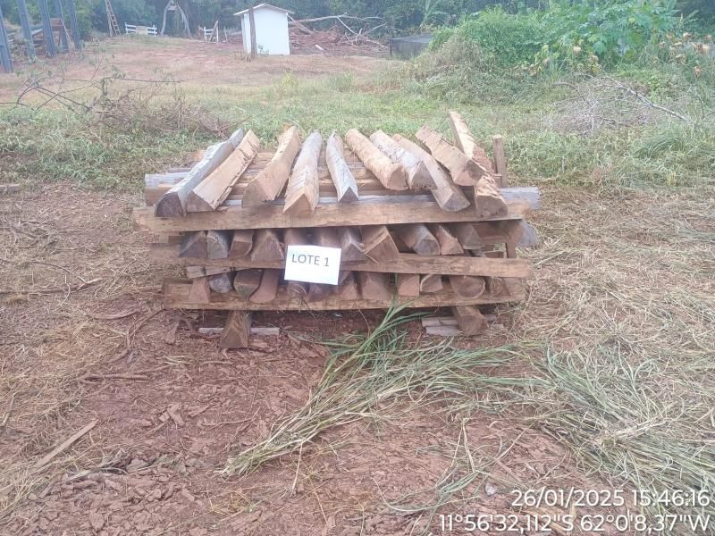 Polícia Militar Ambiental de Alta Floresta lança edital para venda de madeiras; veja como participar Polícia Militar Ambiental de Alta Floresta lança edital para venda de madeiras; veja como participar