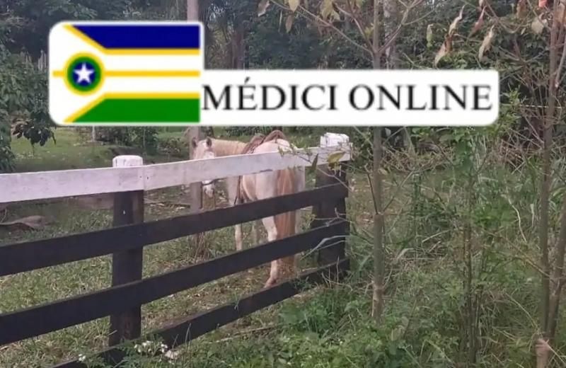 Trabalhador de 73 anos foi encontrado morto em chácara, em Presidente Médici Trabalhador de 73 anos foi encontrado morto em chácara, em Presidente Médici