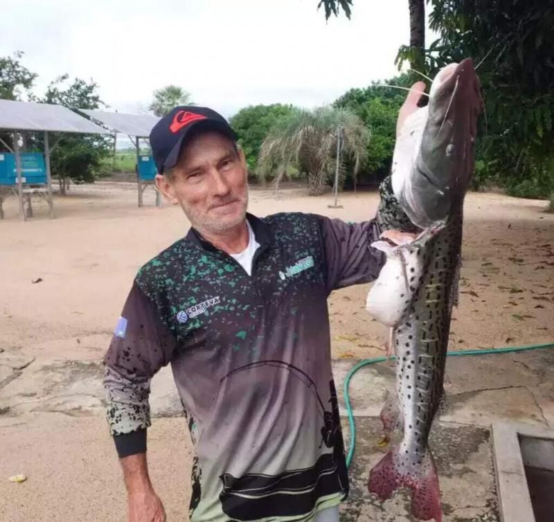 Onça-pintada que atacou e matou caseiro no Pantanal é capturada, veja o vídeo Onça-pintada que atacou e matou caseiro no Pantanal é capturada, veja o vídeo