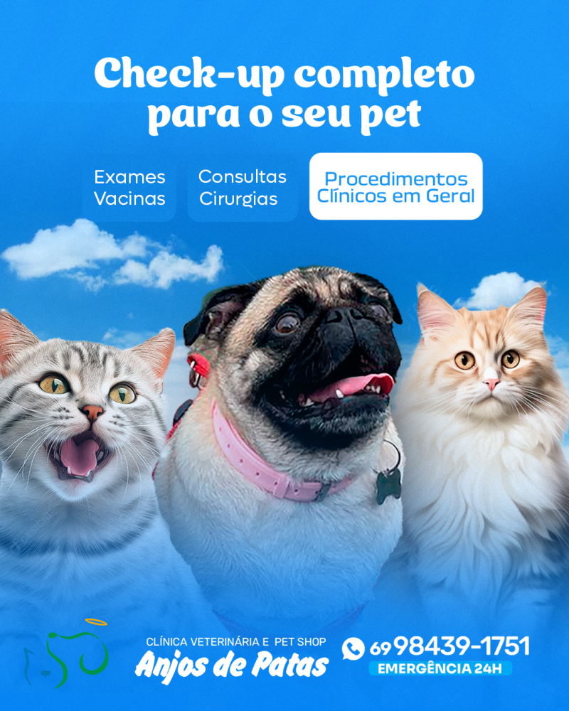 Primeiro dia do mês já registrou acidente de trânsito, em Rolim de Moura Primeiro dia do mês já registrou acidente de trânsito, em Rolim de Moura