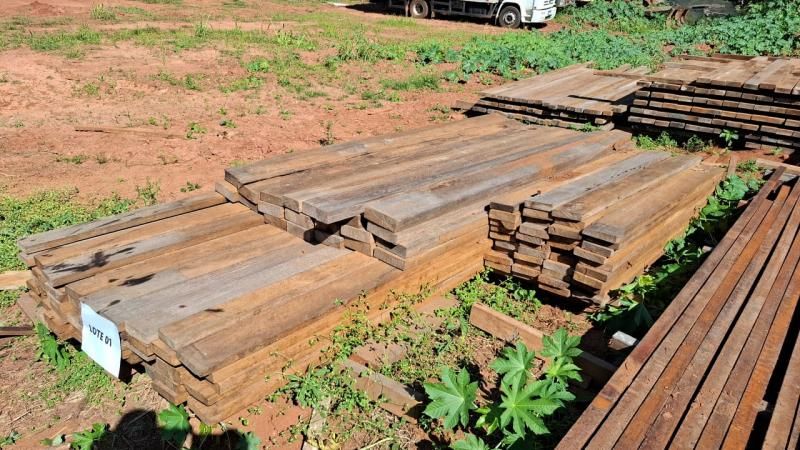 Polícia Militar Ambiental de Alta Floresta d’Oeste abre edital para leilão de madeira Polícia Militar Ambiental de Alta Floresta d’Oeste abre edital para leilão de madeira