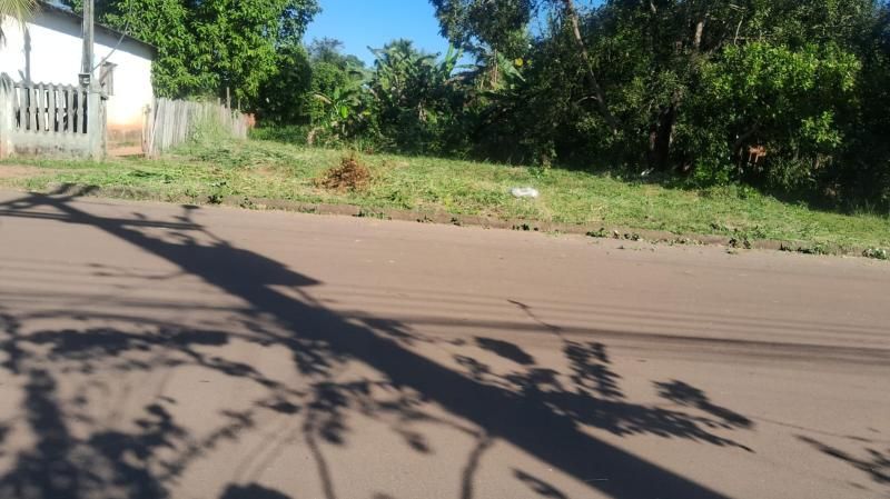 Prefeitura de Rolim de Moura intensifica limpeza de terrenos baldios e já aplicou mais de R$ 13 mil em multas a proprietários Prefeitura de Rolim de Moura intensifica limpeza de terrenos baldios e já aplicou mais de R$ 13 mil em multas a proprietários