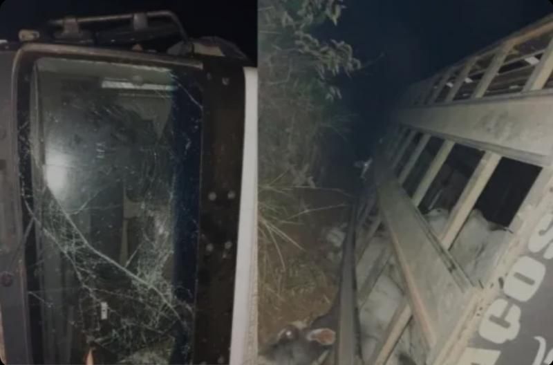 Carreta carregada de gado tomba na Serra da Onça, e mobiliza Bombeiros na BR-429, em São Miguel do Guaporé Carreta carregada de gado tomba na Serra da Onça, e mobiliza Bombeiros na BR-429, em São Miguel do Guaporé