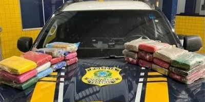 Casal que viajava para Rolim de Moura é preso com mais de 25 kg de skunk na BR-364, em Vilhena Casal que viajava para Rolim de Moura é preso com mais de 25 kg de skunk na BR-364, em Vilhena