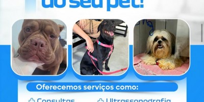 Clínica Veterinária Anjos de Patas,cuidando do seu pet com amor, segurança e tecnologia, em Rolim de Moura Clínica Veterinária Anjos de Patas,cuidando do seu pet com amor, segurança e tecnologia, em Rolim de Moura
