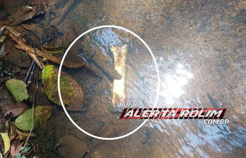 URGENTE - Ossada humana foi encontrada em área rural de Novo Horizonte do Oeste URGENTE - Ossada humana foi encontrada em área rural de Novo Horizonte do Oeste