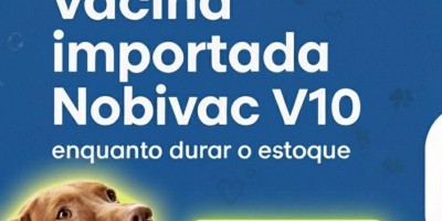 ATENÇÃO, PAPAIS E MAMÃES DE PETS! Vacina Importada Nobivac V10 por APENAS 55,00 REAIS! ATENÇÃO, PAPAIS E MAMÃES DE PETS! Vacina Importada Nobivac V10 por APENAS 55,00 REAIS!