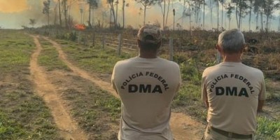 Mulher é presa por incêndio criminoso em área de floresta em Rondônia Mulher é presa por incêndio criminoso em área de floresta em Rondônia